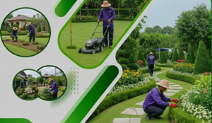 รับจัดสวน รับเหมาปูหญ้า รับจัดสวน รับเหมาปูหญ้า